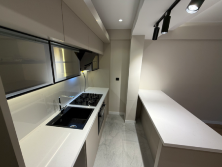 Full Renovation With En-Suite Bathroom Garden Near American College