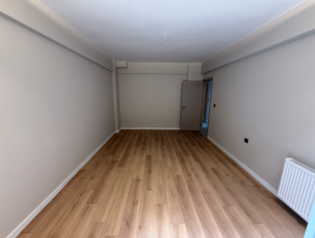 Full Renovation With En-Suite Bathroom Garden Near American College