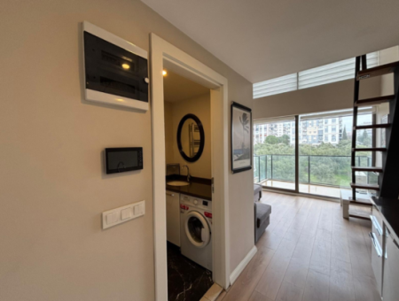 Buca Koop Myway Site 3Rd Floor 1 1 Loft Furnished Flat For Rent!