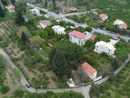 3 Separate Title Deeds In Sığacık From Veri Naranciye Garden For Sale!
