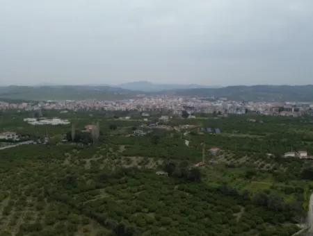 3 Separate Title Deeds In Sığacık From Veri Naranciye Garden For Sale!