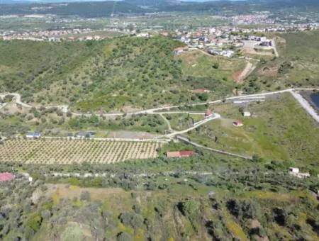 Olives For Sale In Seferihisar Ulamış | Valley And Lake View