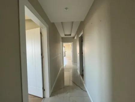 Spacious 3 1 Flat For Rent On Seferihisar Kuşadasi Road