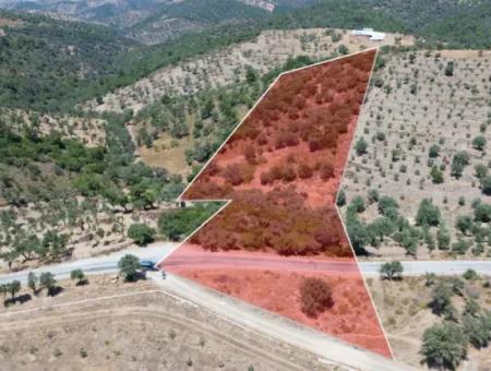 11.800 M² Land For Sale With Main Road Frontage On Seferihisar State Hospital | Unique Opportunity For Investment