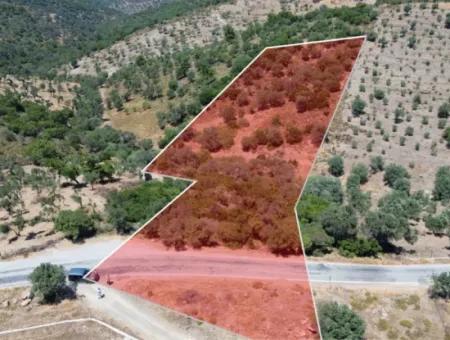 11.800 M² Land For Sale With Main Road Frontage On Seferihisar State Hospital | Unique Opportunity For Investment