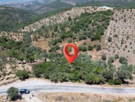 11.800 M² Land For Sale With Main Road Frontage On Seferihisar State Hospital | Unique Opportunity For Investment