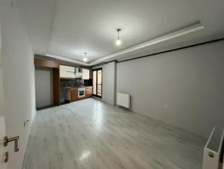Comfortable And Convenient 2 1 Apartments For Rent In The City Center