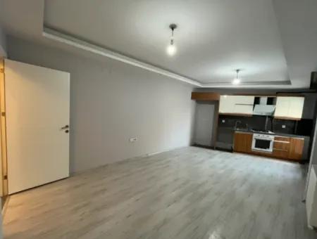 Comfortable And Convenient 2 1 Apartments For Rent In The City Center