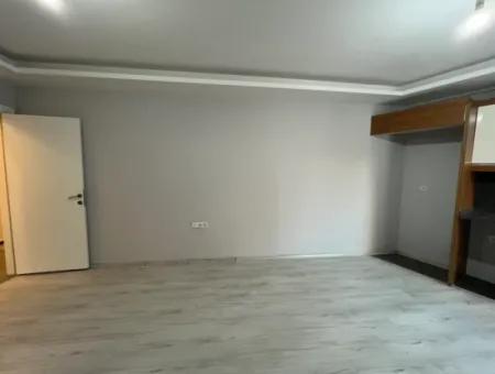 Comfortable And Convenient 2 1 Apartments For Rent In The City Center