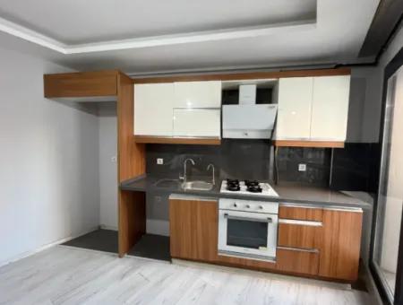 Comfortable And Convenient 2 1 Apartments For Rent In The City Center