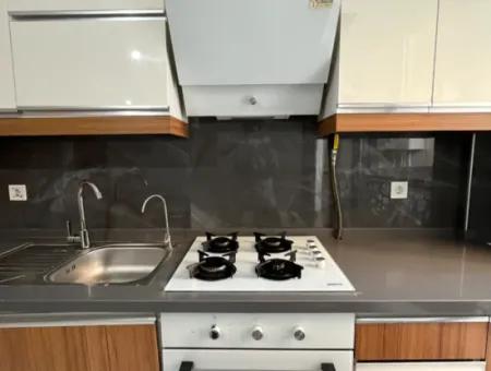 Comfortable And Convenient 2 1 Apartments For Rent In The City Center