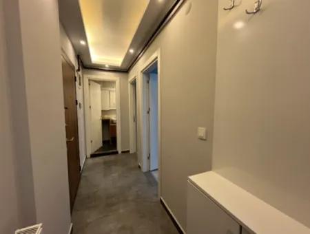 Comfortable And Convenient 2 1 Apartments For Rent In The City Center