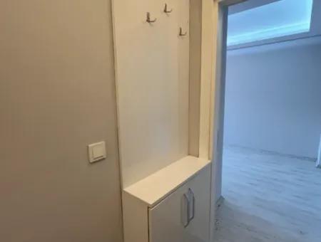 Comfortable And Convenient 2 1 Apartments For Rent In The City Center