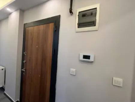 Comfortable And Convenient 2 1 Apartments For Rent In The City Center