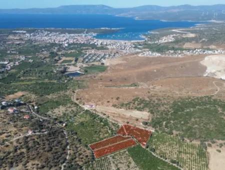 12.901 M² Tangerine Garden In Seferihisar Sığacık Taşdibi Area
