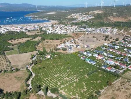 6.474 M² Tangerine Orchard In Seferihisar Siğacik Karagöl – Taşdibi Locality