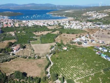 6.474 M² Tangerine Orchard In Seferihisar Siğacik Karagöl – Taşdibi Locality