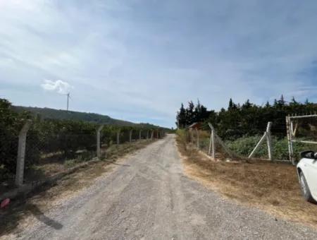 For Sale In Seferihisar Düzce 2.628,64 M² Tangerine Grove