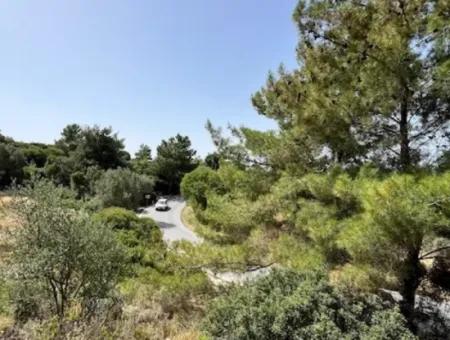 20 Acres Of Land Close To Zoning On Uzbek Road In Urla Rustam