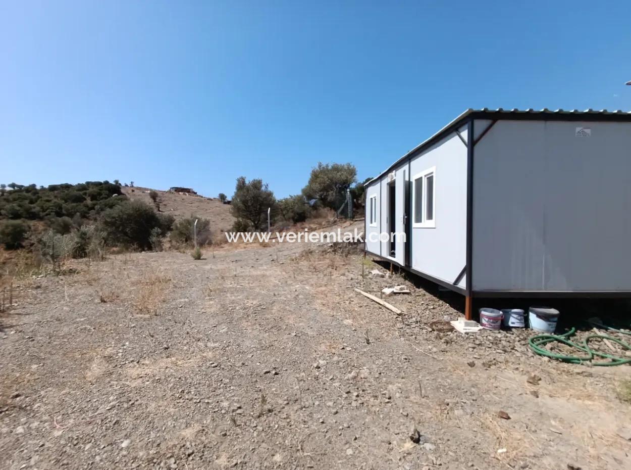 Seferihisar Ulamış Yolunda, Yatırım Fırsatı! Panoramik Manzaralı 1700 M² Zeytinlik Arsa