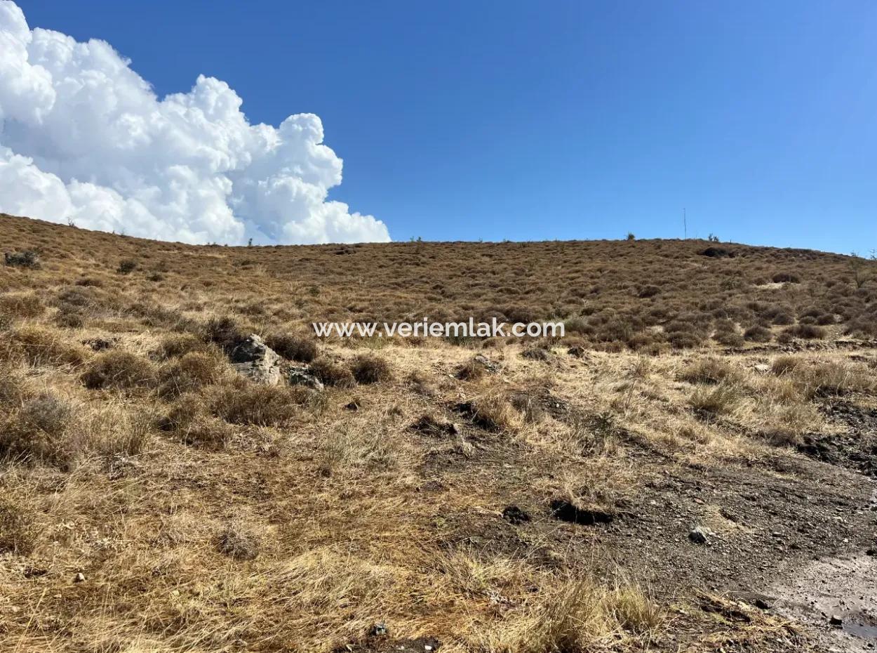 Seferihisar’ın Yükselen Yıldızı: Çolakibrahimbey Mahallesi'nde Satılık 600M² Arsa!