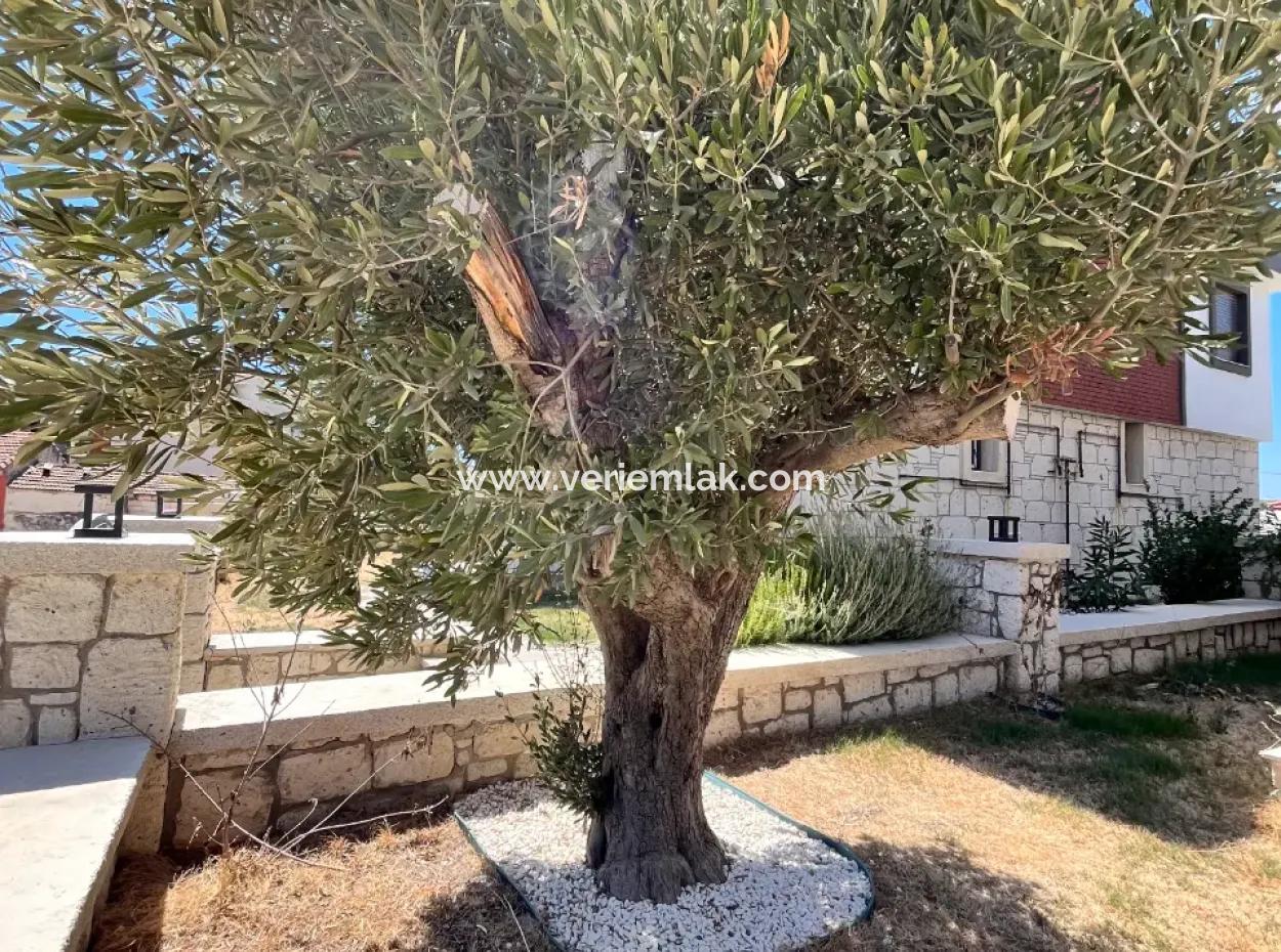 Şehrin Göbeğinde Lüks Ve Konforlu Villa Ayrıcalığı