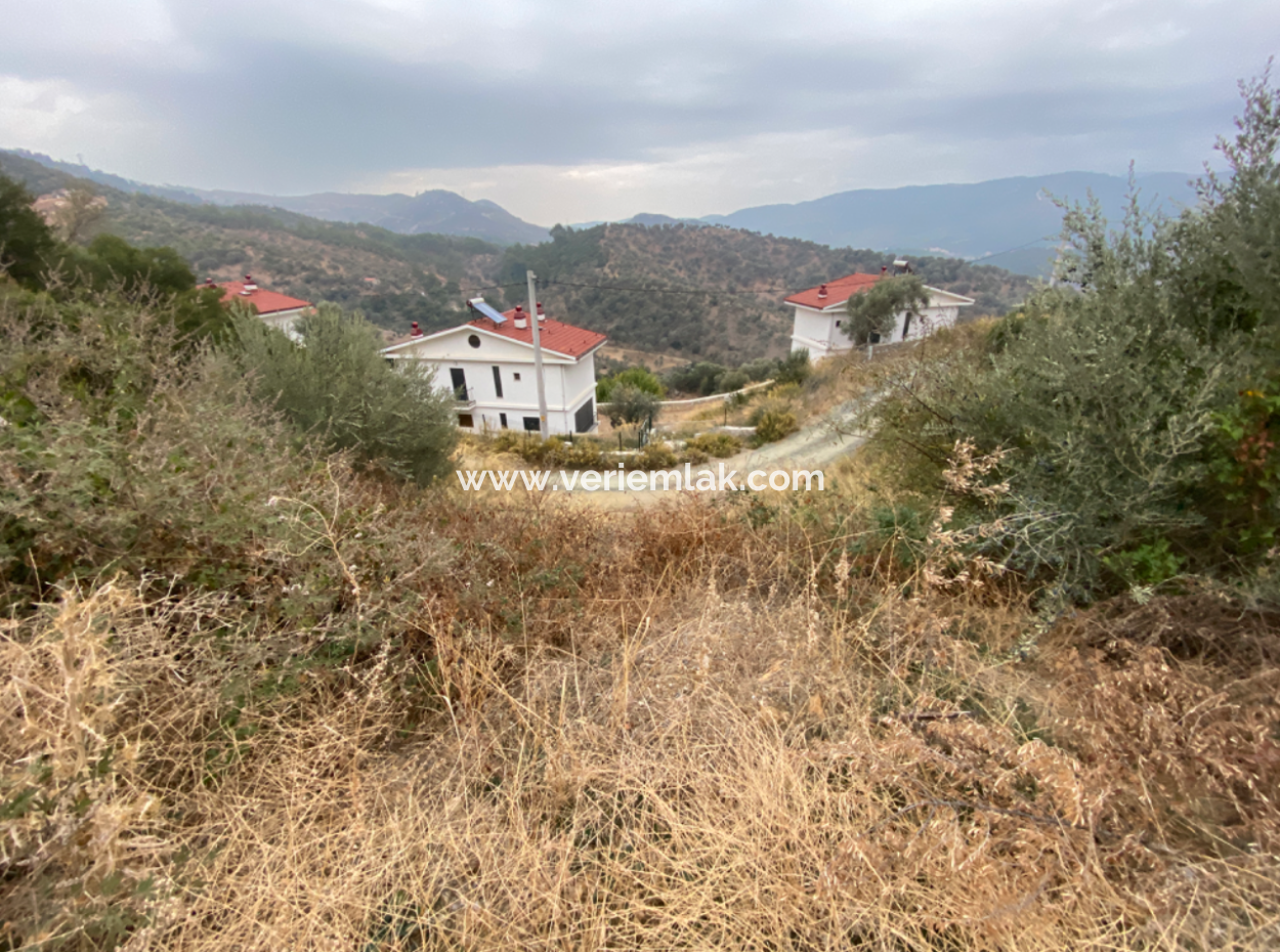 Seferihisar Eski Orhanlı Köyünde Köşe Konum Satılık 516M2 Arsa