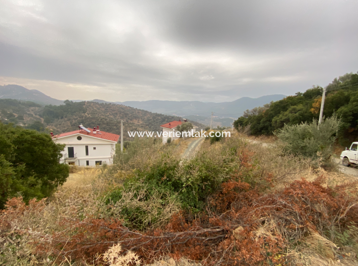 Seferihisar Eski Orhanlı Köyünde Köşe Konum Satılık 516M2 Arsa