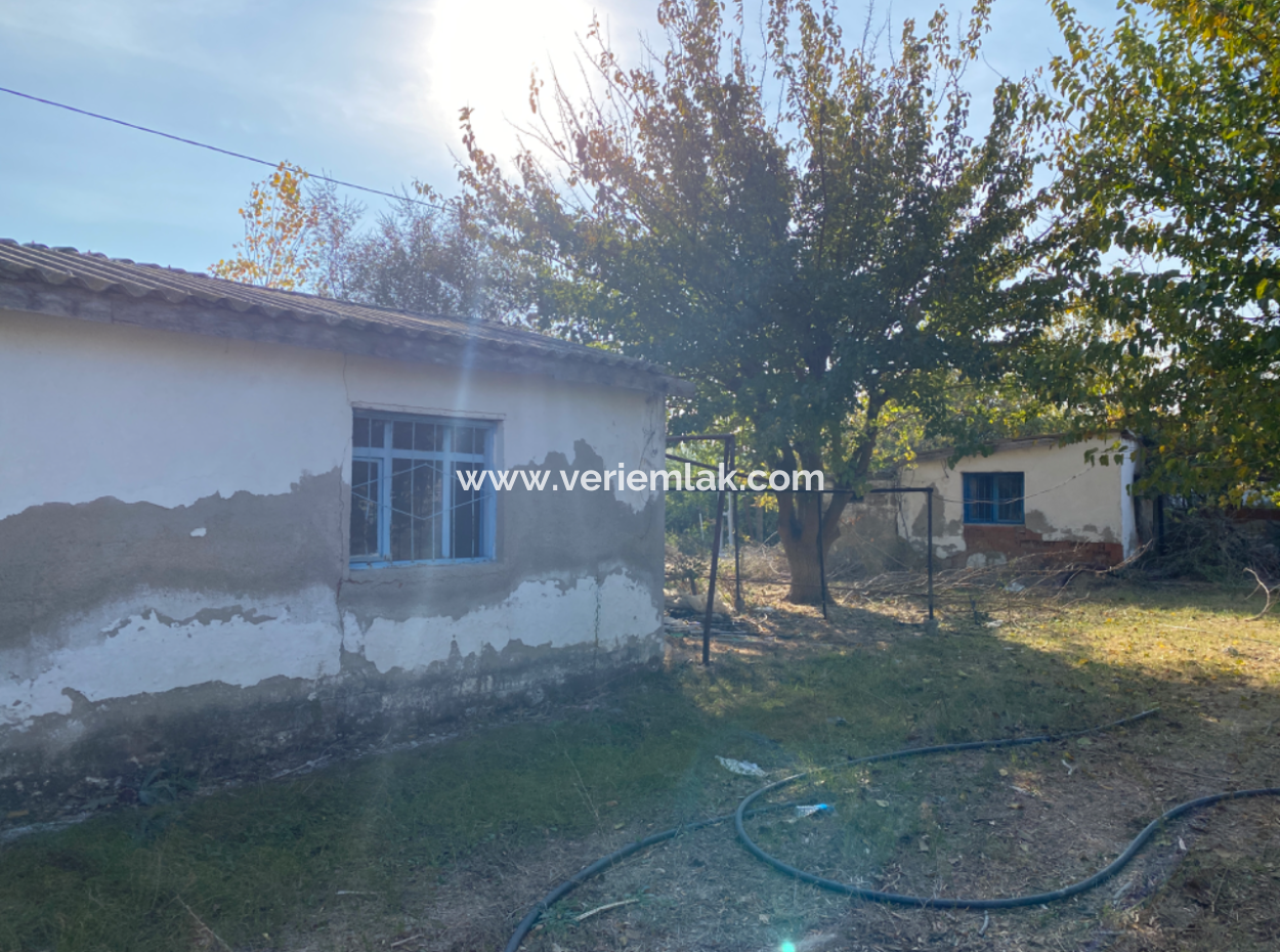 Seferihisar Düzce Mahallesinde Tarıma Elverişli Satılık 12.200 M2 Tarla