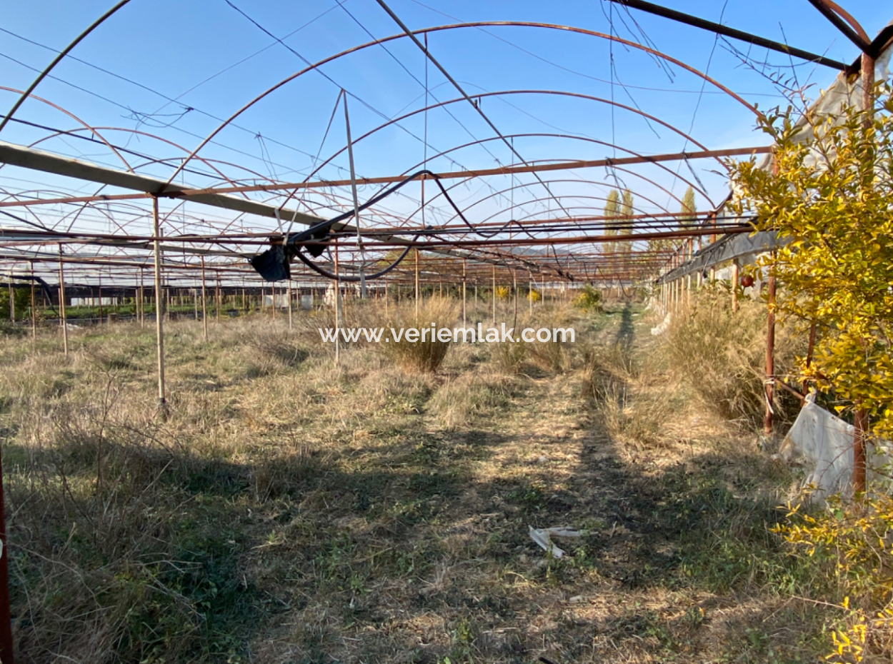 Seferihisar Düzce Mahallesinde Tarıma Elverişli Satılık 12.200 M2 Tarla