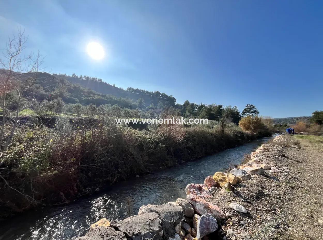 Seferihisar Kavakdere’de 1800 M² Arsa İçinde Taş Ev Ve Zeytinlik