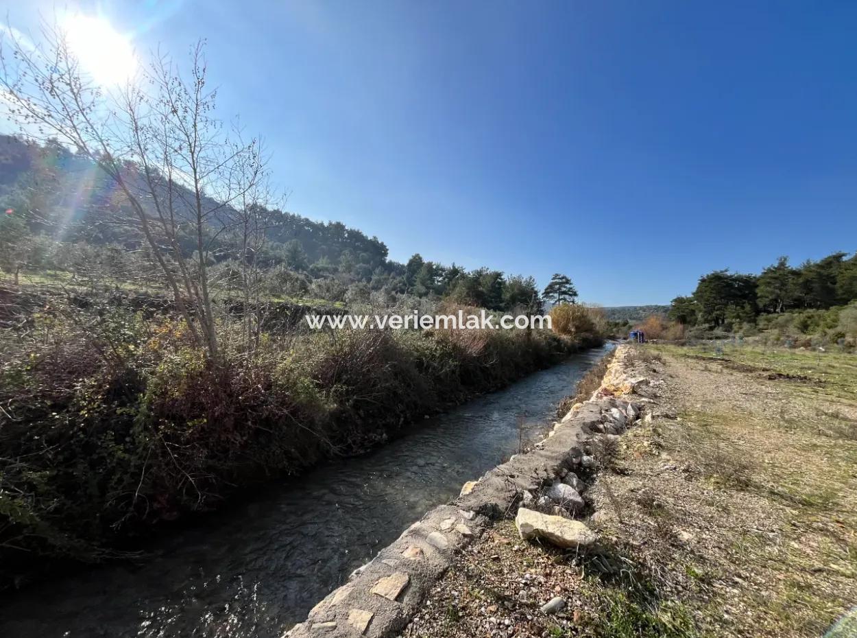 Seferihisar Kavakdere’de 1800 M² Arsa İçinde Taş Ev Ve Zeytinlik