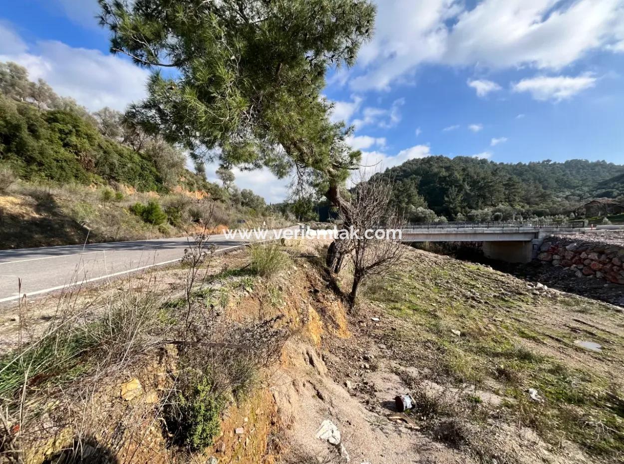 Seferihisar Kavakdere’de 1800 M² Arsa İçinde Taş Ev Ve Zeytinlik