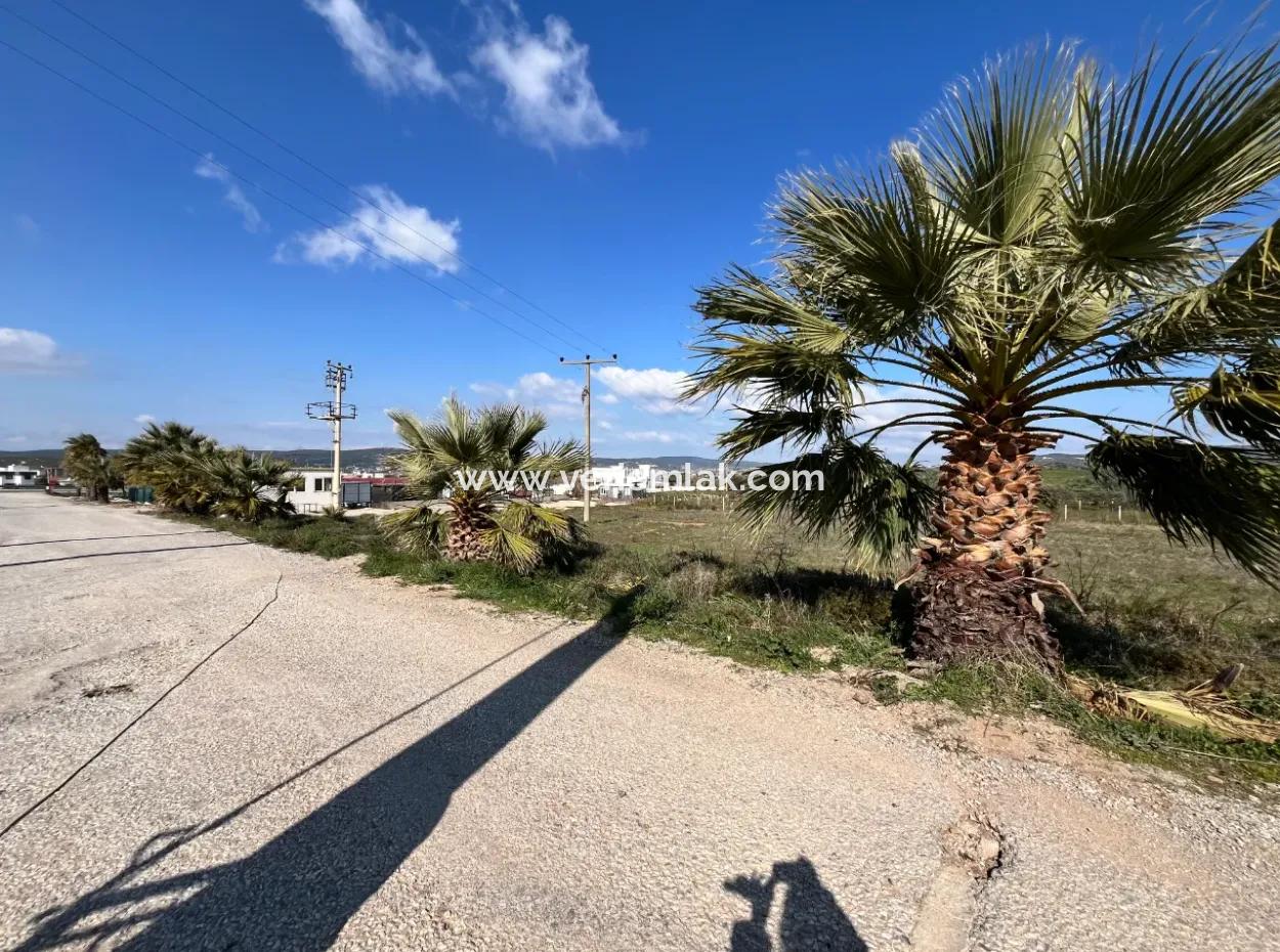 Seferihisar Düzce Mahallesi'nde Köşe Konumlu, Yeşil Alan Cepheli 474 M² Villa İmarlı Arsa