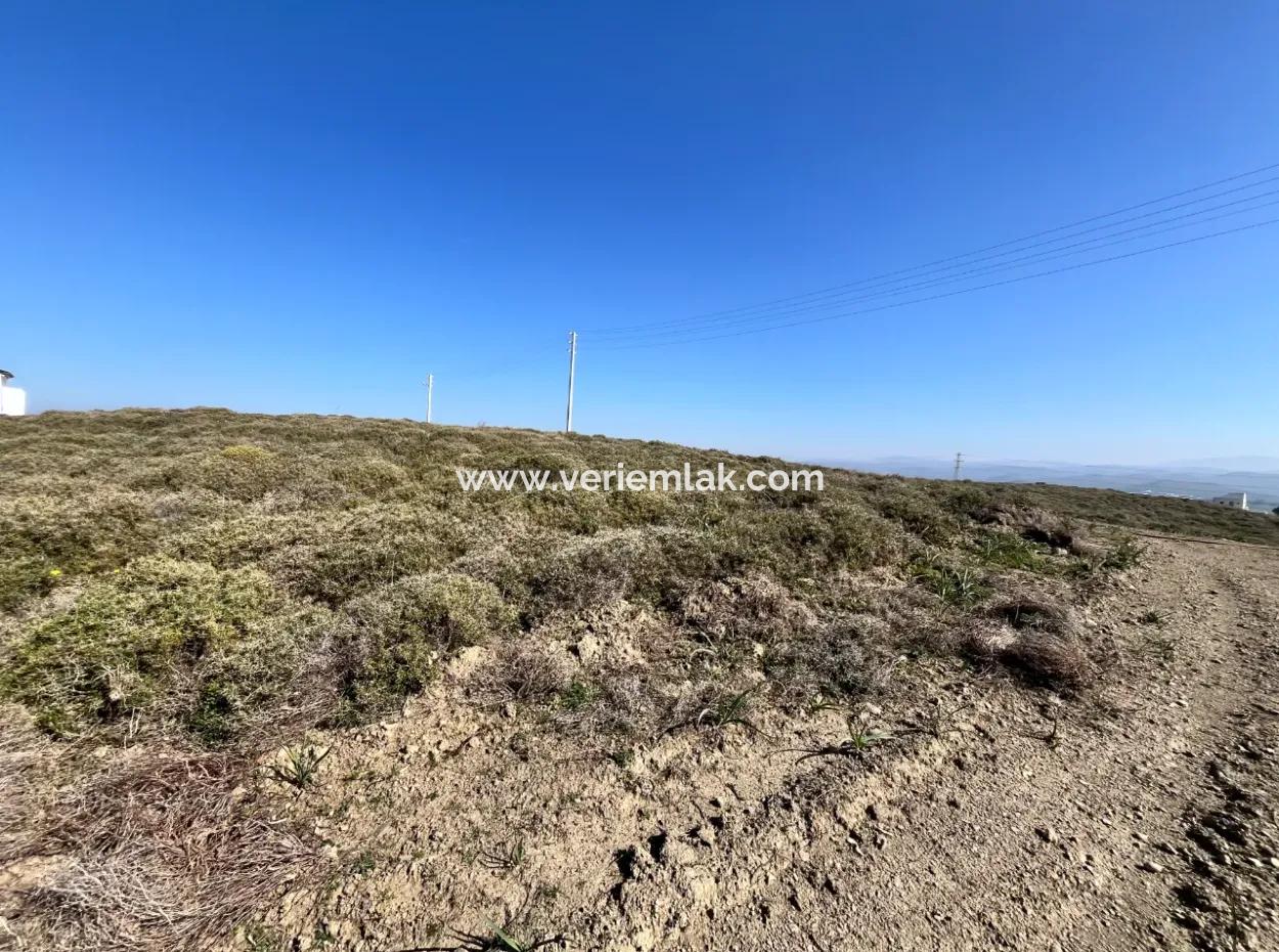 Seferihisar Düzce Mahallesi'nde Yatırıma Uygun Satılık Villa İmarlı Arsa