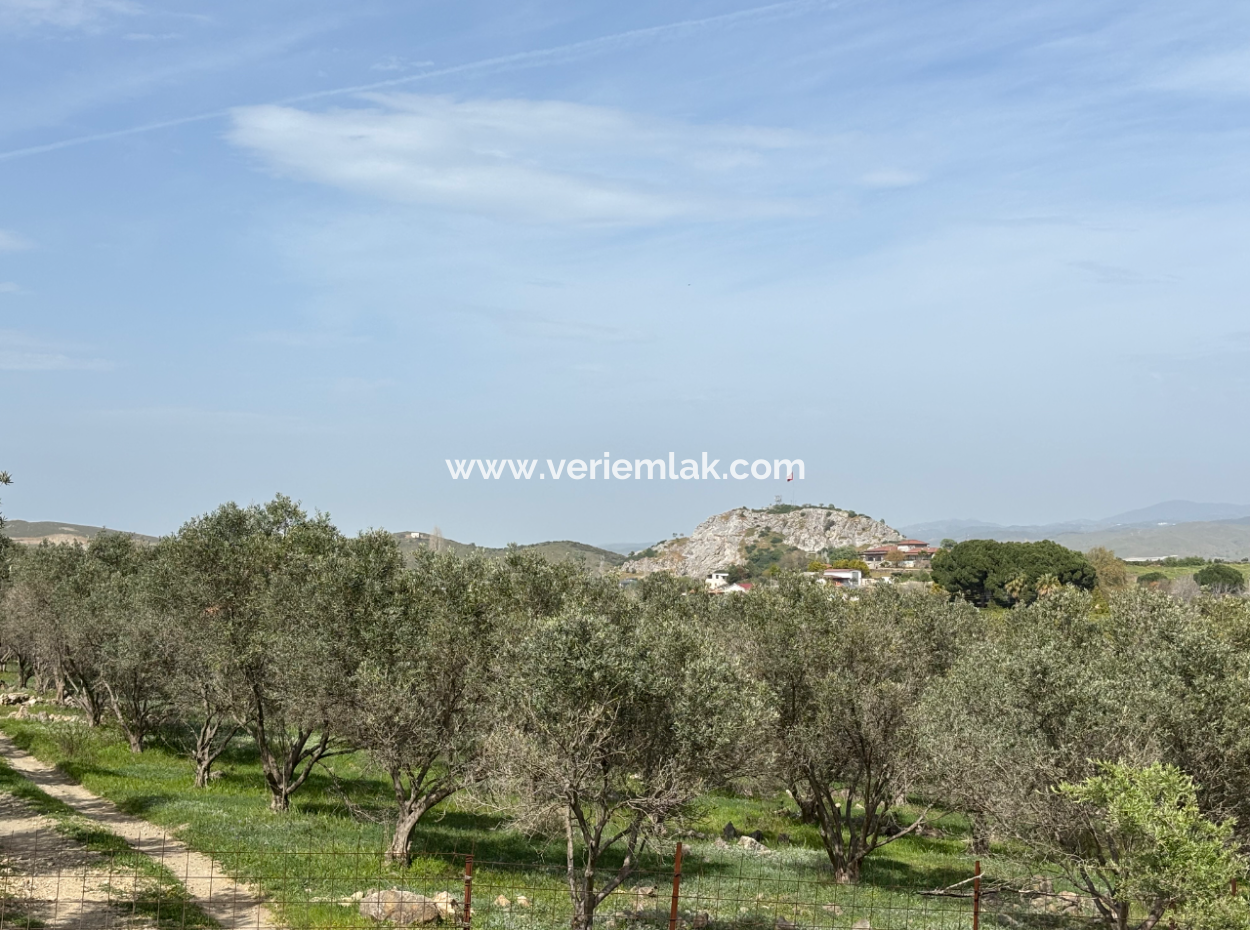 Seferihisar Hıdırlık Mahallesinde Deniz Manzaralı Satılık 8574 M2 Tarla