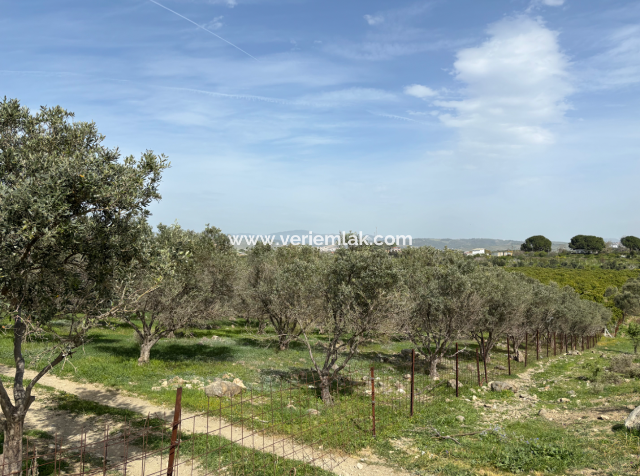 Seferihisar Hıdırlık Mahallesinde Deniz Manzaralı Satılık 8574 M2 Tarla