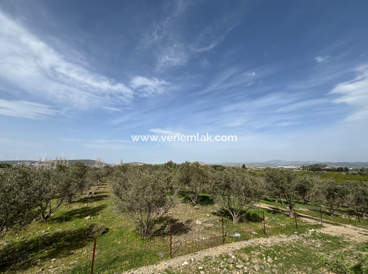 Seferihisar Hıdırlık Mahallesinde Deniz Manzaralı Satılık 8574 M2 Tarla