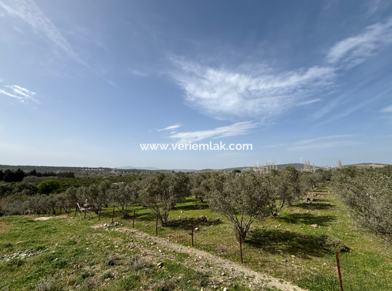 Seferihisar Hıdırlık Mahallesinde Deniz Manzaralı Satılık 8574 M2 Tarla