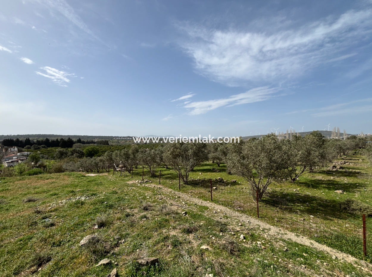 Seferihisar Hıdırlık Mahallesinde Deniz Manzaralı Satılık 8574 M2 Tarla