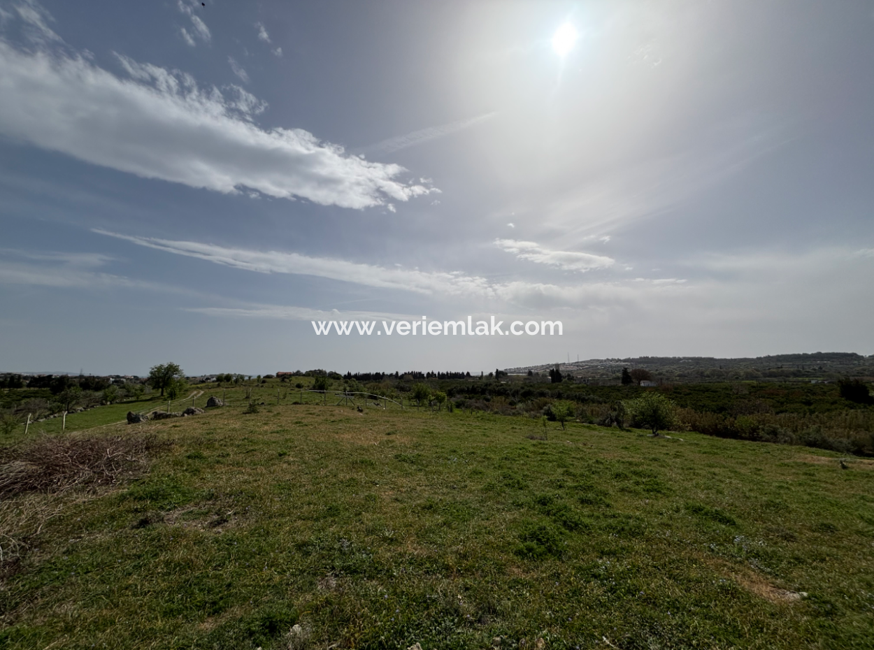 Seferihisar Hıdırlık Mahallesinde Deniz Manzaralı Satılık 8574 M2 Tarla