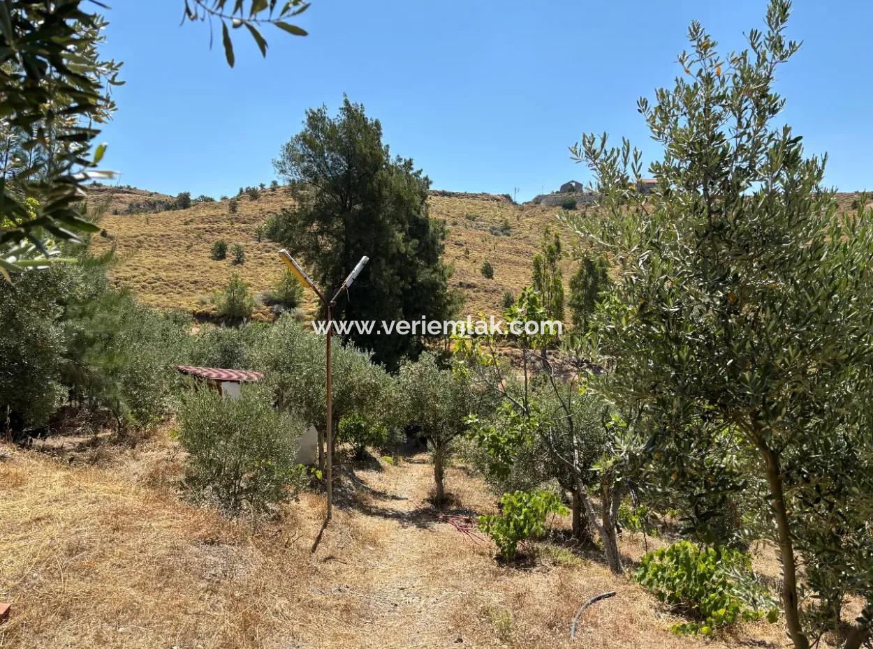 Seferihisar Bahçeköy Bölgesinde Yatırımlık Villa İmarlı Arsa!