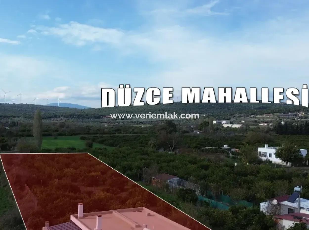 Seferihisar Düzce Mahallesinde 2075 M2 Mandalina Bahçesinde Satılık Müstakil Ev
