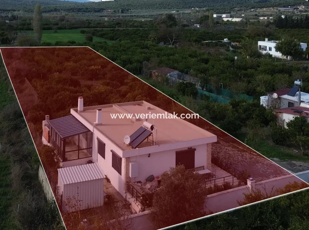 Seferihisar Düzce Mahallesinde 2075 M2 Mandalina Bahçesinde Satılık Müstakil Ev