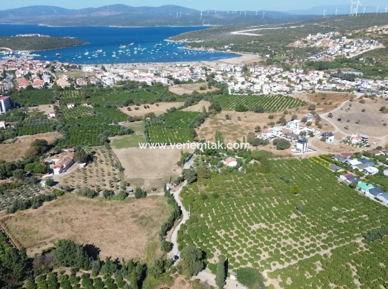 Seferihisar Sığacık Karagöl – Taşdibi Mevkiinde 6.474 M² Mandalina Bahçesi