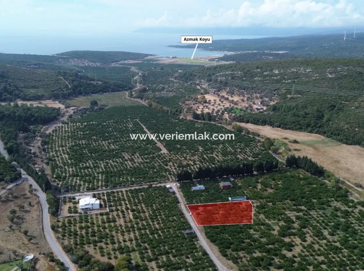 Seferihisar Düzce’de Satılık 2.628,64 M² Mandalinlik