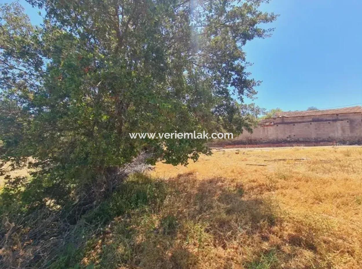 Seferihisar Ulamış'da  1000M2 İmarlı Arsa