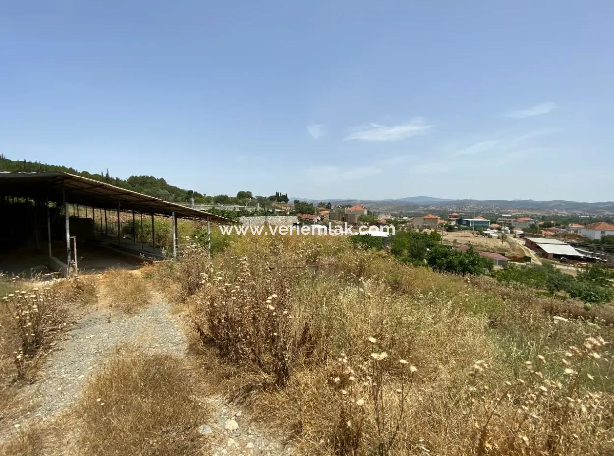 Seferihisar Turgut Köyünde 4.189 M2 Yatırıma Uygun Satılık Tarla