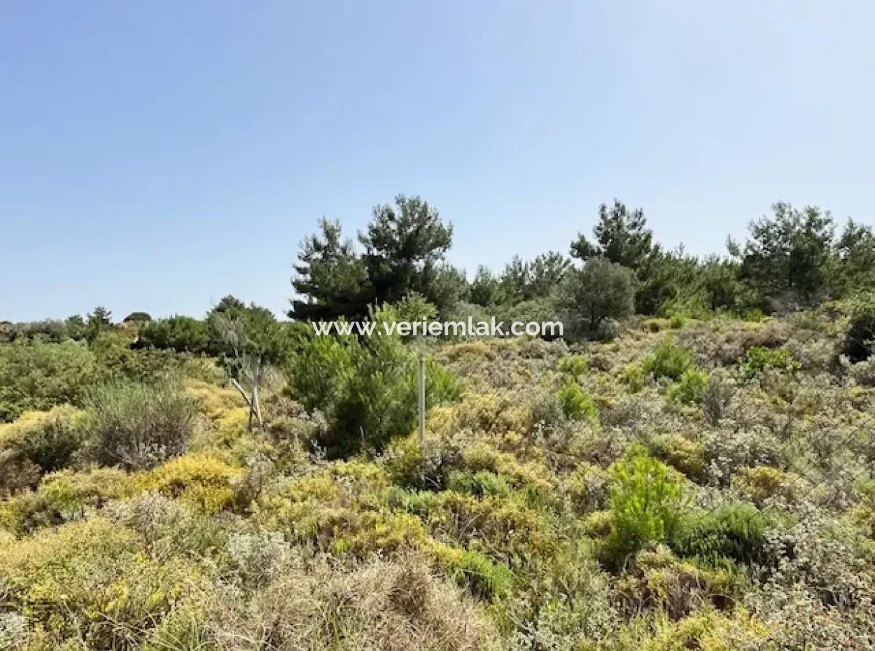 Urla Rüstem'de Özbek Yolunda 20 Dönüm İmara Yakın Arazi