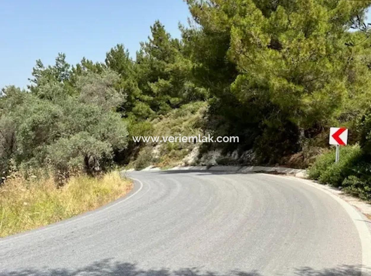 Urla Rüstem'de Özbek Yolunda 20 Dönüm İmara Yakın Arazi